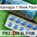 Kamagra 1 Week Pack 40